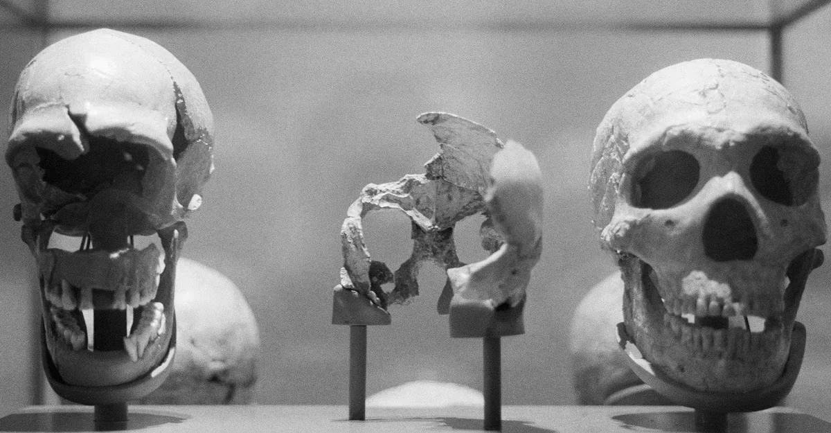 История человеческого происхождения претерпевает радикальные изменения