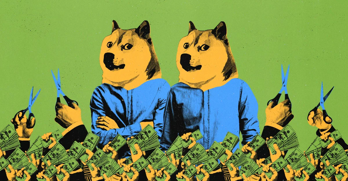 Братья DOGE хотят еще одного шанса